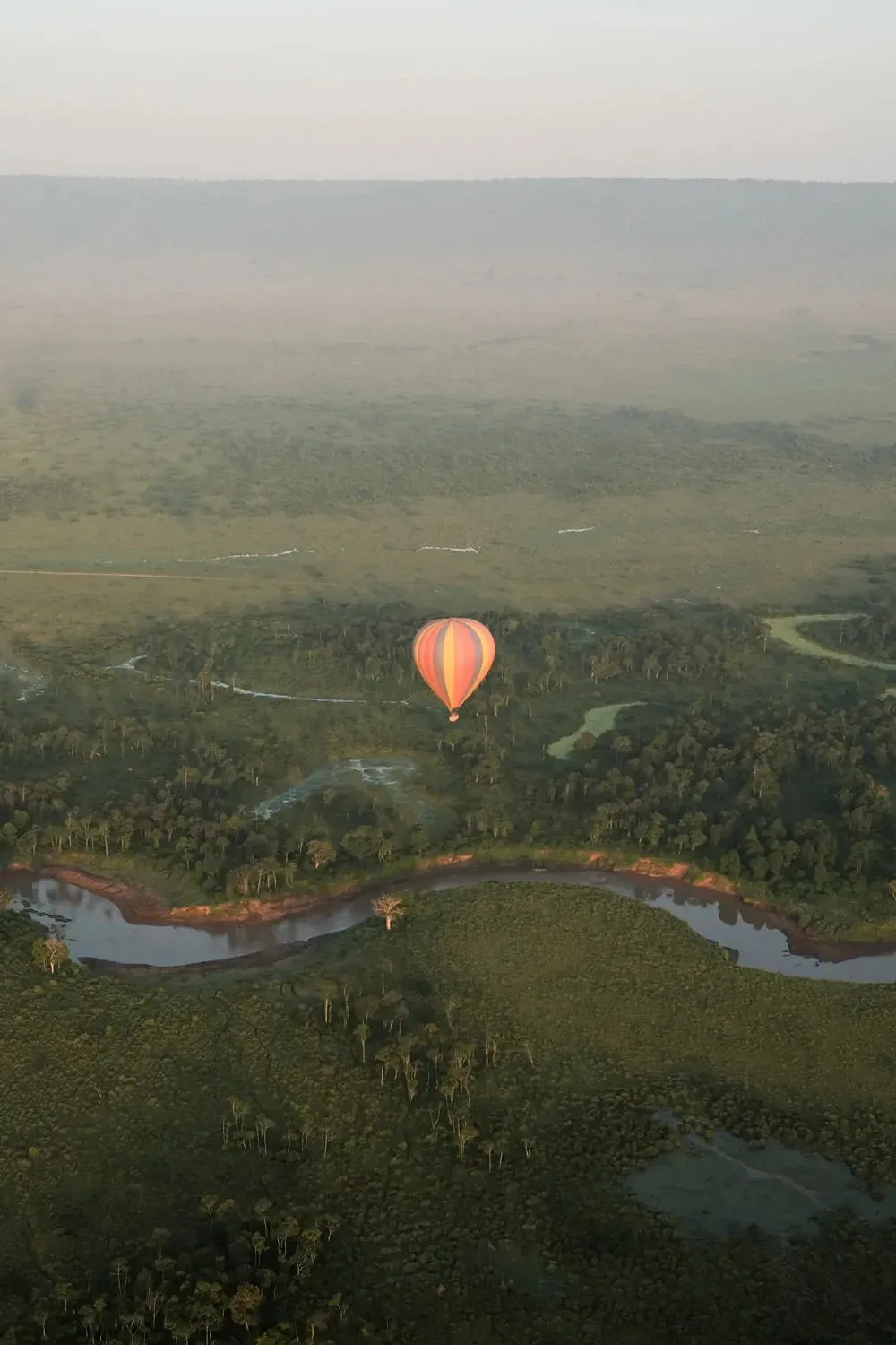 Masai Mara and Amboseli in end-May